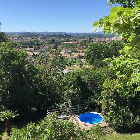 Chambre D'Hote Vue Imprenable Sur Cite - Villa Rose Carcassonne Bagian luar foto